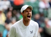 开云官方app入口-美国网球队完胜意大利网球队，穆雷绝境逆转的简单介绍