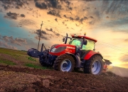 开云APP-当沙漠玫瑰绽放于篮球殿堂，摩洛哥的淘汰赛哲学与弗拉霍维奇的东决启示