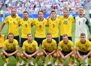 开云体育官网-关于瑞典队实现逆转，晋级下一轮欧预赛的信息