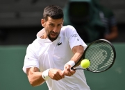 开云官网-温网逆转年终总决赛，德约科维奇高光表现的简单介绍