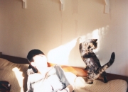 开云体育官方网站-哈利伯顿展现巨星价值，尼克斯一波带走森林狼