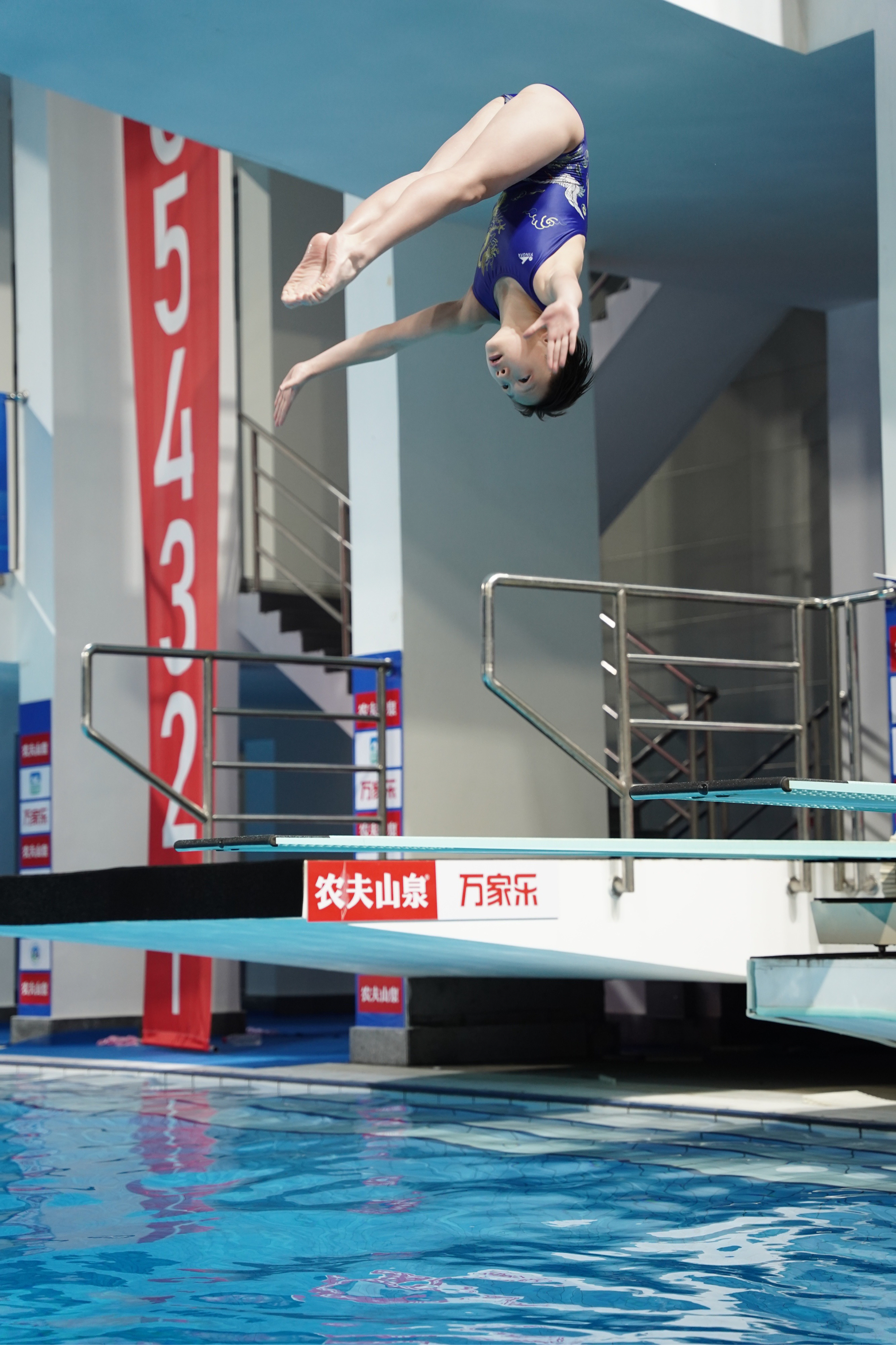 包含跳水比赛现场报道：跳将队员气质勇敢的词条