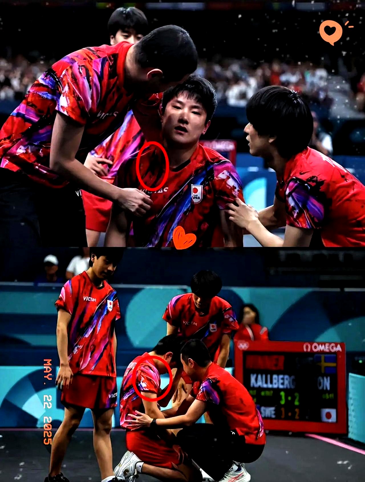 英国乒乓球队轻取日本乒乓球队，张本智和关键制胜的简单介绍