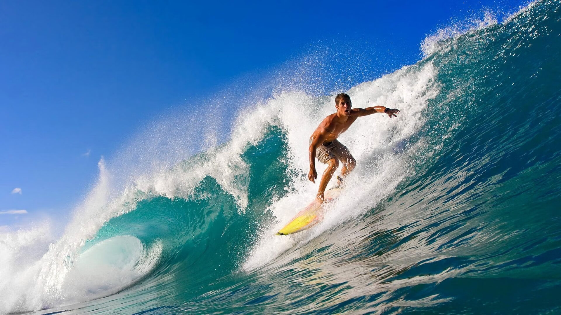 武切维奇彻底打爆防线，黄蜂速胜奇才